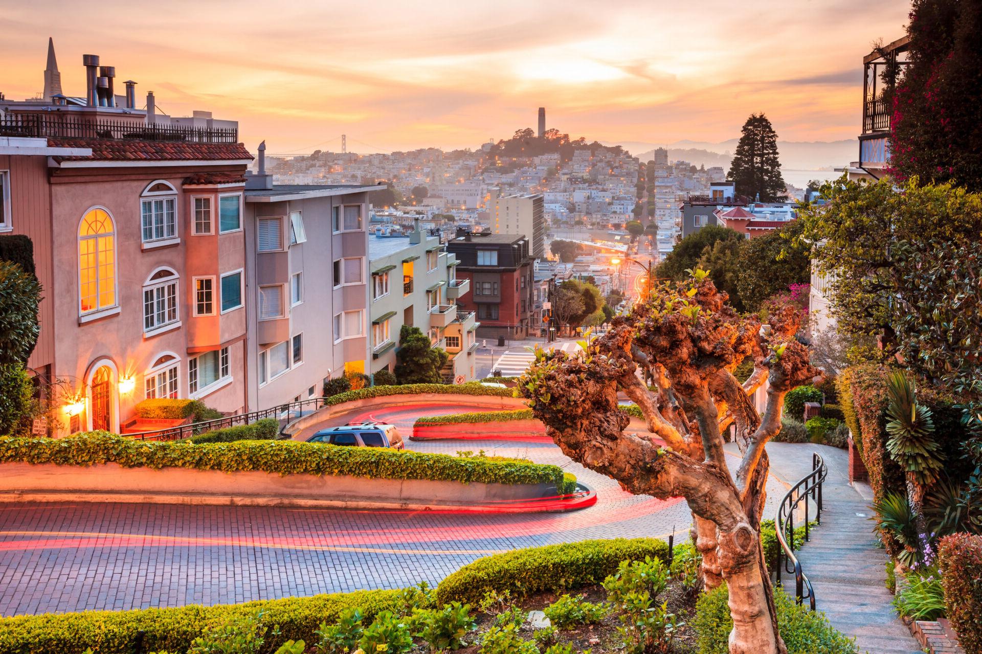 A beautiful treelined street in downtown San Francisco.